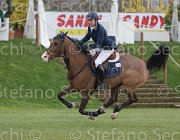 Lever Da Vinci's Pride TosTour 2013- S5 7750 : Arezzo Equestrian Centre, Da Vinci's Pride, Lever Philip, Toscana Tour 2013, foto di Stefano Secchi ©